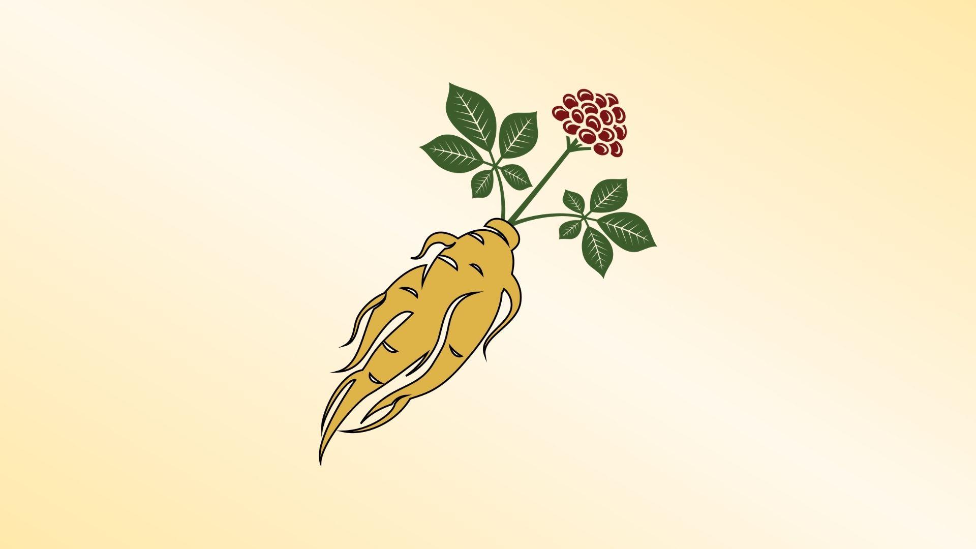 Sâm Tươi Hàn Quốc